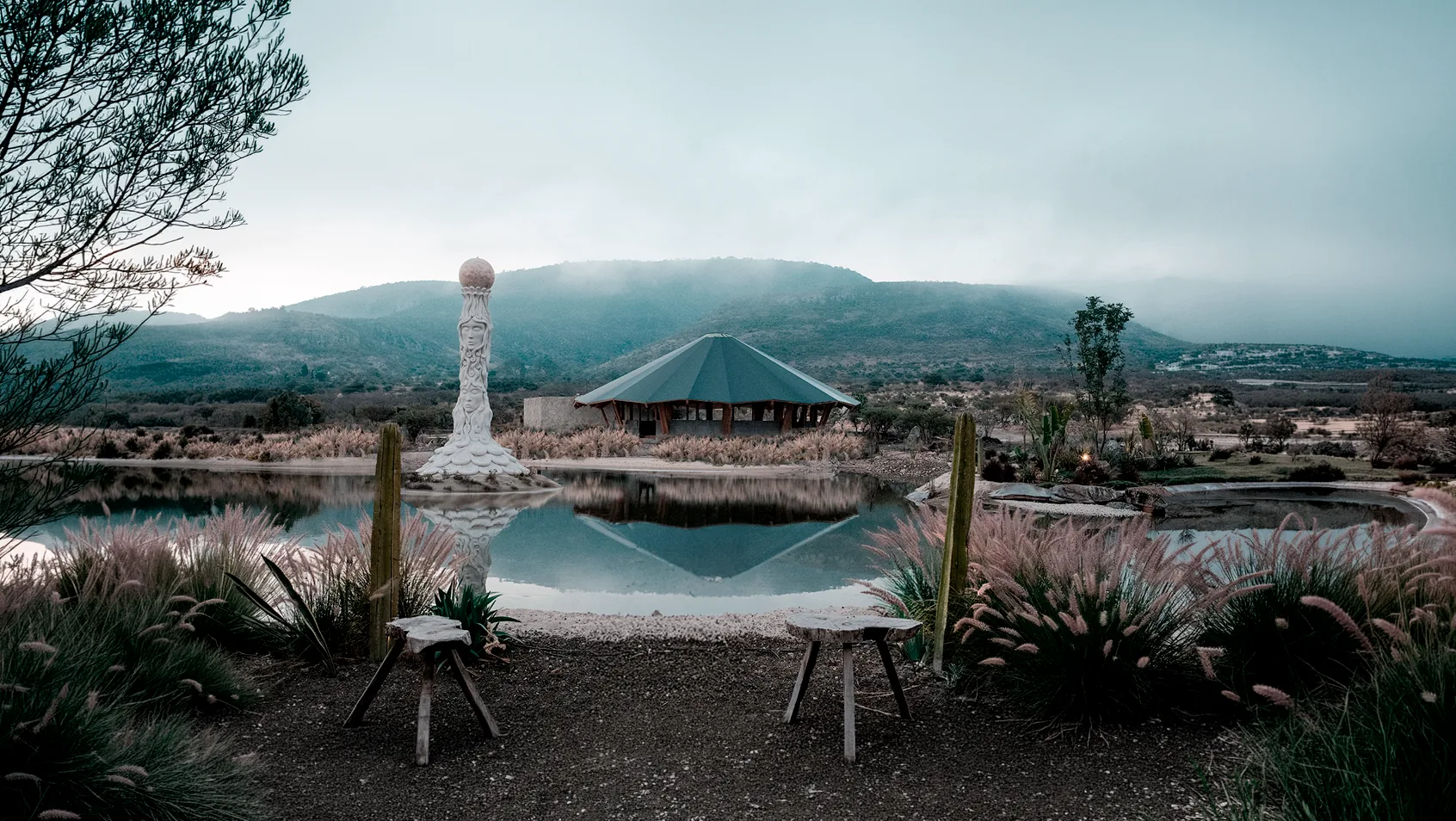 Paisaje de Reserva X con vegetación nativa del Bajío